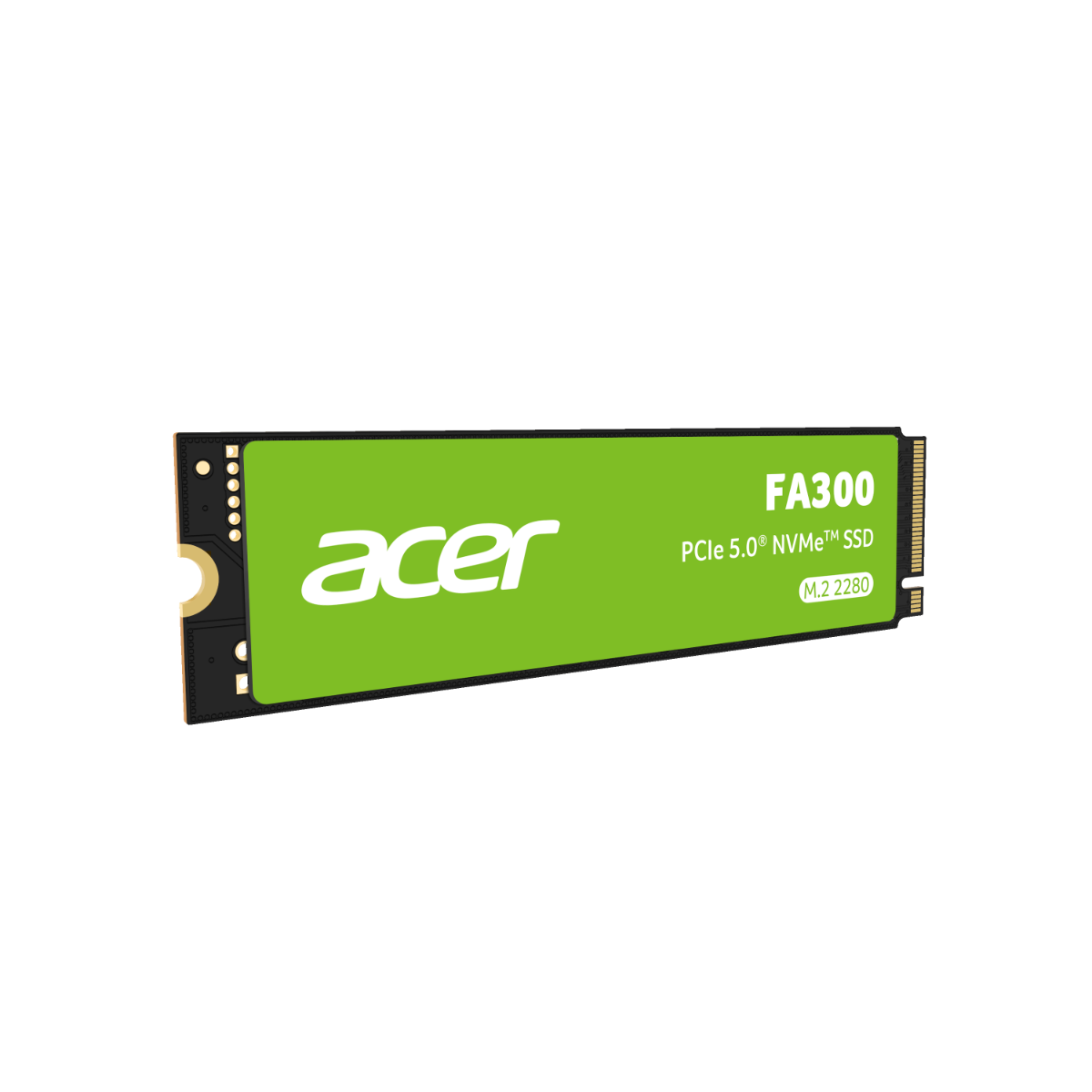 Acer FA300 SSD Gen5 - 1 TB 5