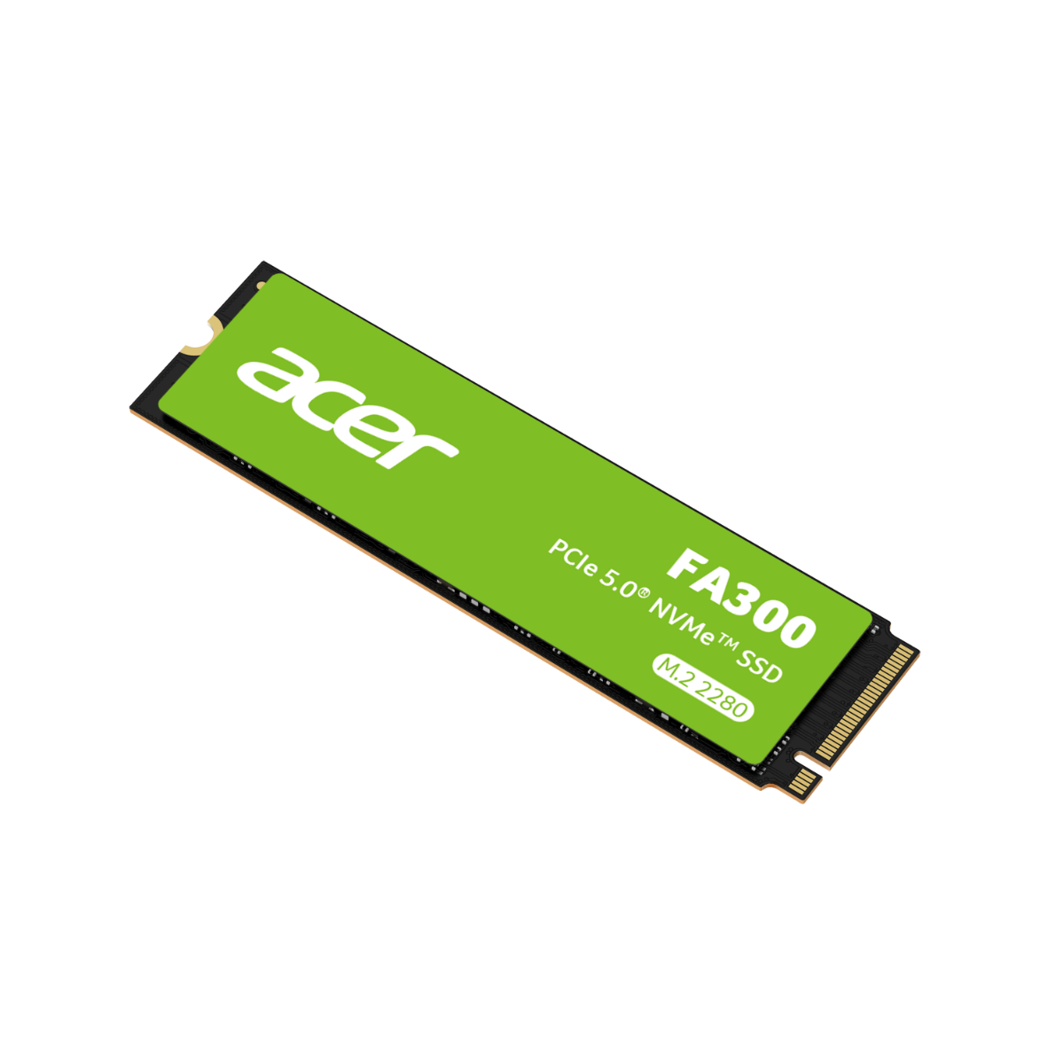 Acer FA300 SSD Gen5 - 1 TB 4