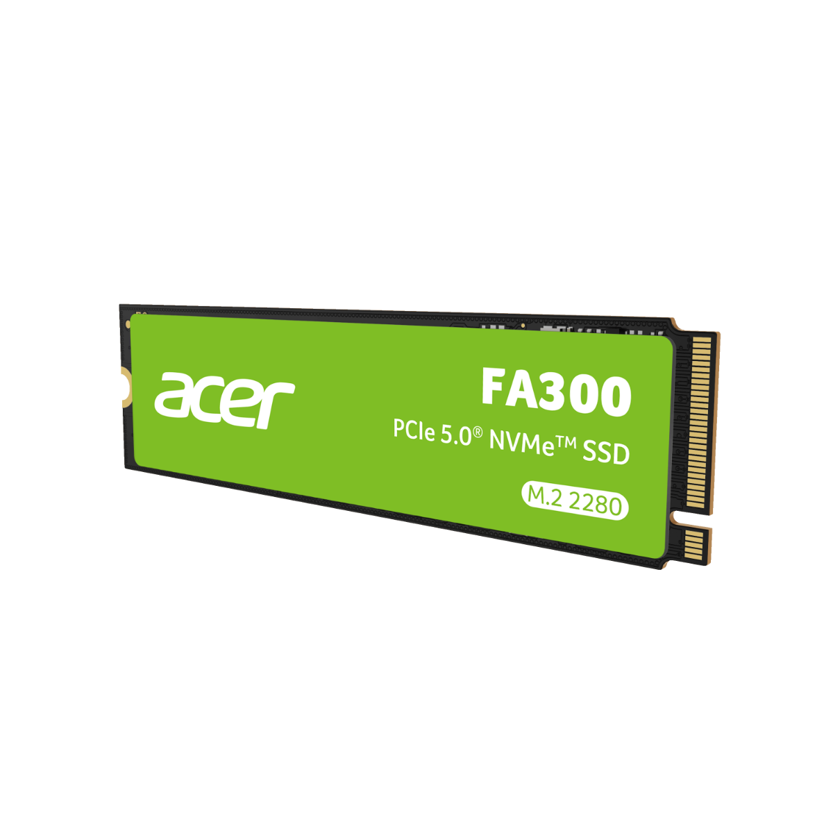 Acer FA300 SSD Gen5 - 1 TB 8